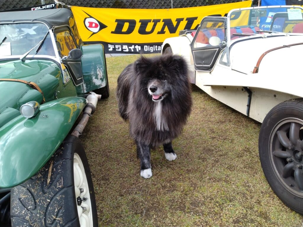 エエお天気！
さぁ、始まりますよぉ〜＼(^o^)／
