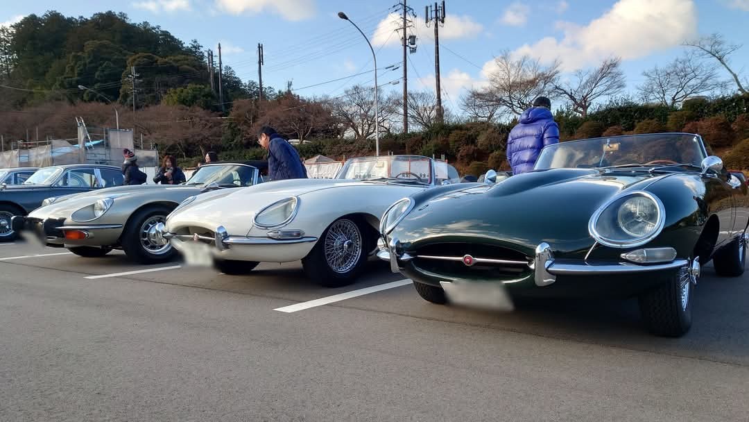 158th TSM開催のおしらせ – MiGHTY DOG マイティドッグ | 京都の