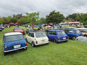 2025.09.14 British Picnic 2025