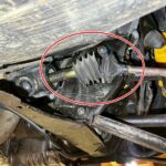 お休みのお知らせ 11月15日（土）～18時までの営業、11月16日（日）はお休みです。 わがままさせていただきます。m(__)m