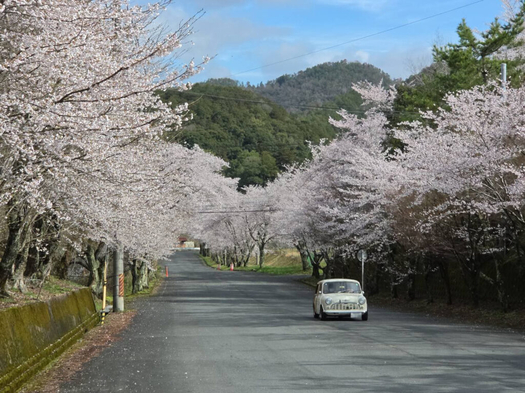 さぁ、始まりますよぉ〜(^^)/ めっちゃエエお天気☀