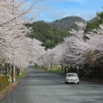 さぁ、始まりますよぉ〜(^^)/ めっちゃエエお天気☀